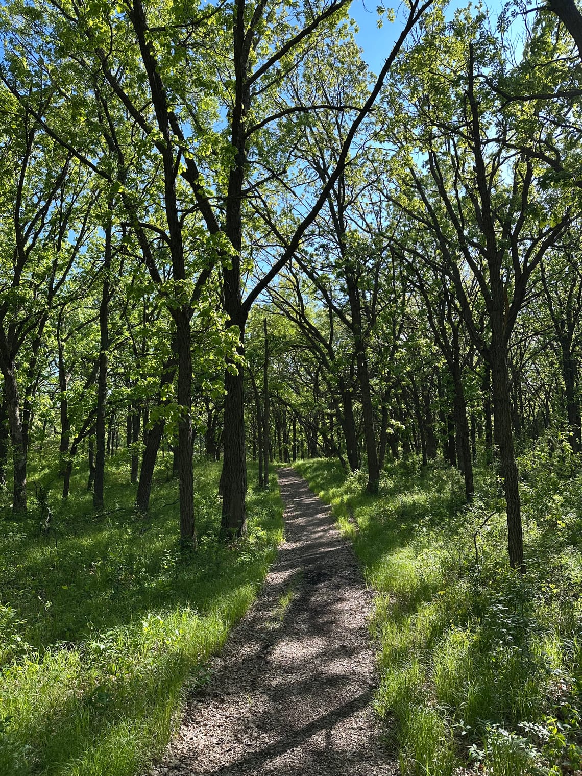 Sheyenne National Grassland 2022/05/22
