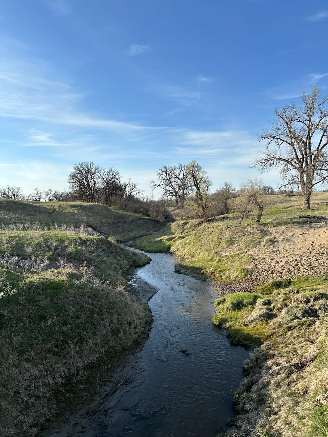 Sheyenne National Grasslands - 2026/05/08