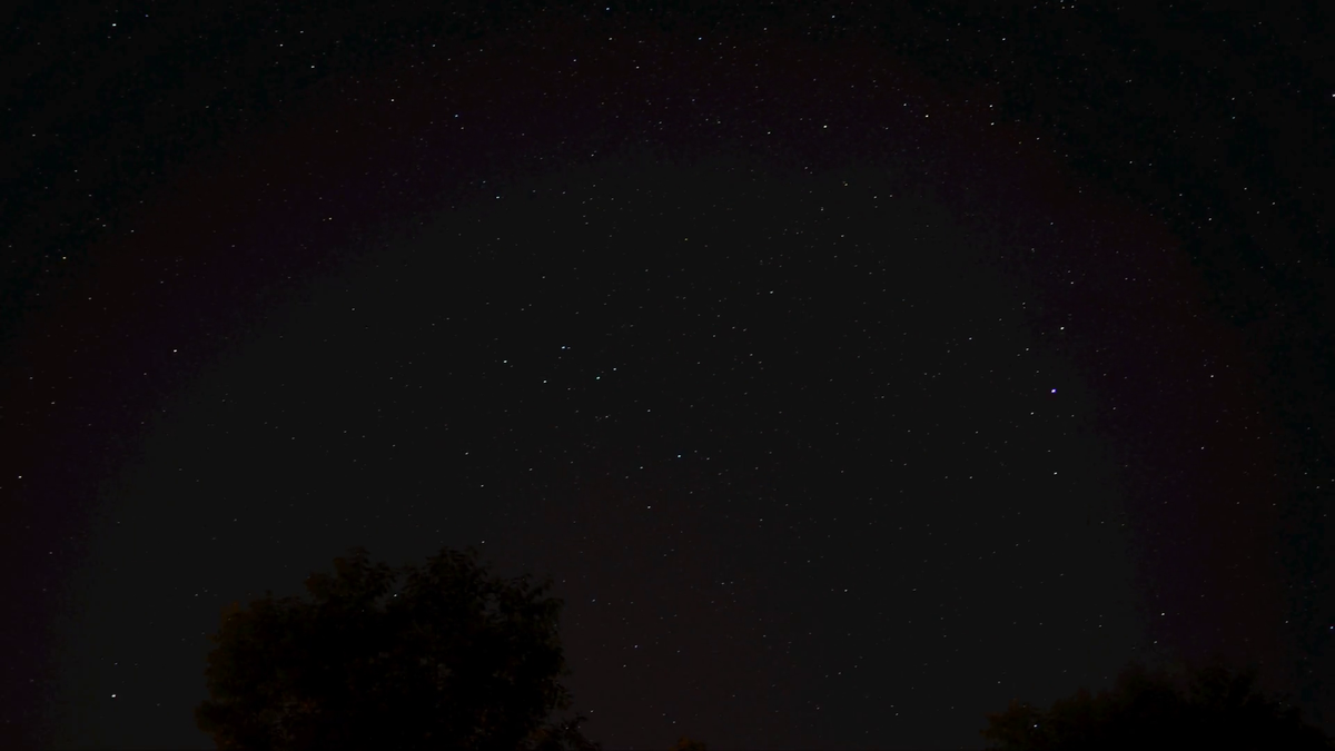 A picture of the night sky, with some trees in the foreground