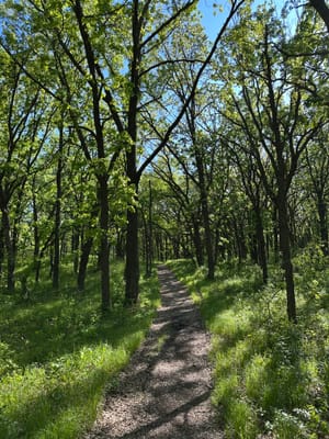 Sheyenne National Grassland 2022/05/22