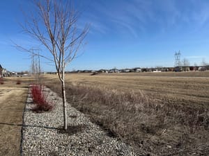 Diversion project cleanup 2026/03/28