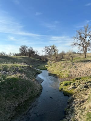 Sheyenne National Grasslands - 2026/05/08